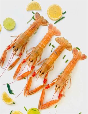  Langoustine: Een Kleine Kruiper Met een Groote Verscheidenheid aan Verstekkplekken!